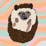 Animal Accessories MN