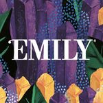 EMILY snacks